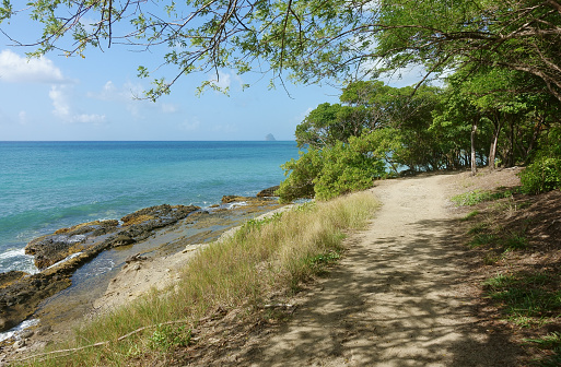 The Sentier du  Littoral hiking trail, Martinique