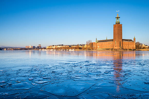 istock Stockholm City Hall 187386855