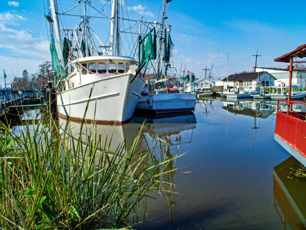 istock Boats in a Massachusetts harbor reflected in the water. 1873875346
