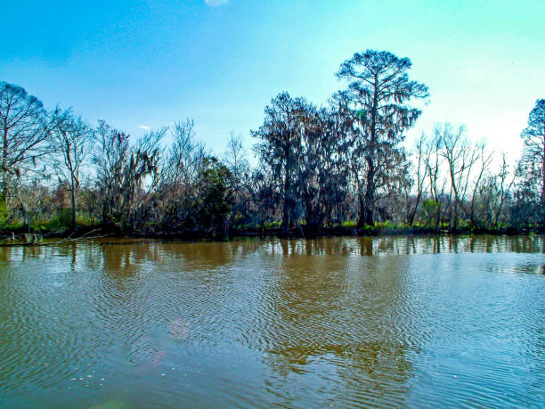 A view along a river in the east