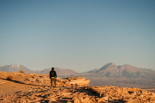 istock Man contemplating landscape in Atacama 1873911258
