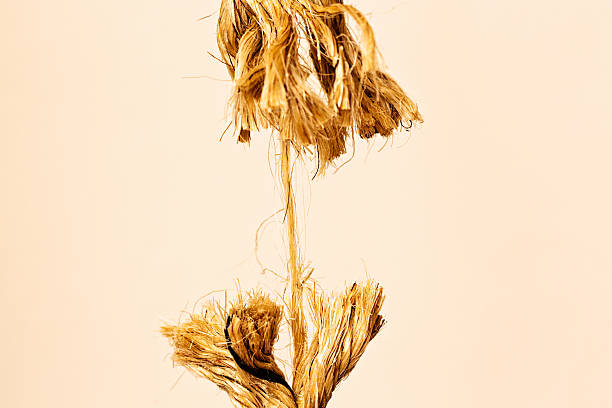 You're getting on my nerves; hurry up! All types of tension are symbolized and displayed by this rope frayed to its very last strand.