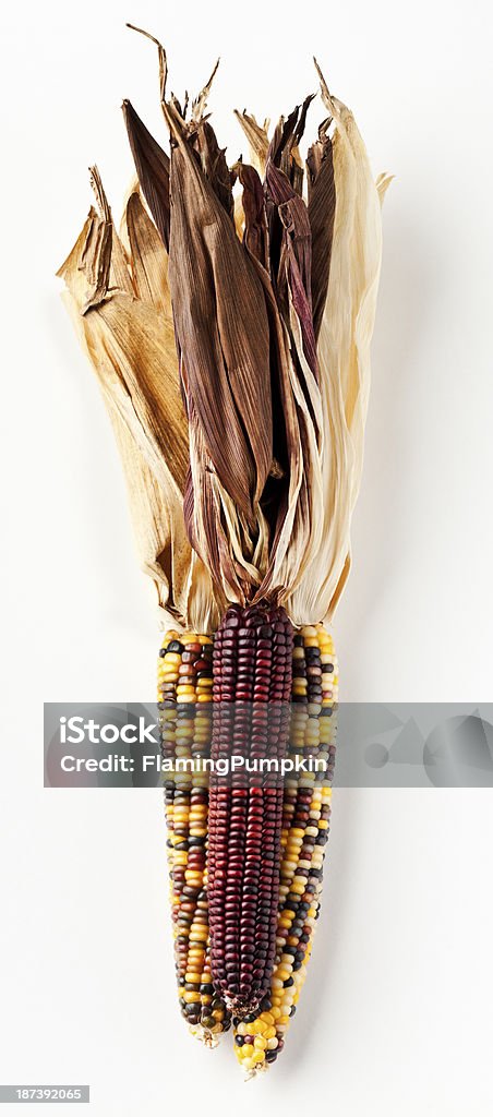 Conjunto de maíz criollo, Aislado en blanco. - Foto de stock de Fondo blanco libre de derechos