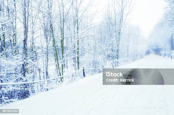 Wandern Fahrt Auf Einem Berg Im Winter Stockfoto und mehr Bilder von Baum - Baum, Blau, Fotografie