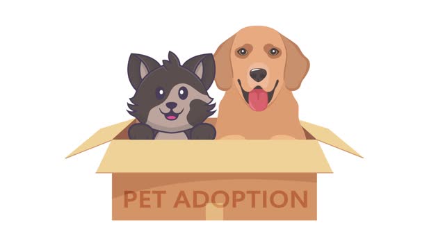 Pets in cardboard Box Animation Concept of Pet Adoption.