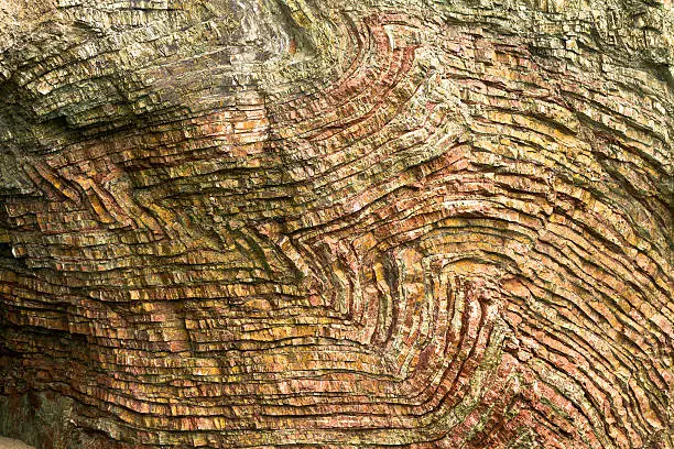 Photo of folded chert layers, Oregon coast