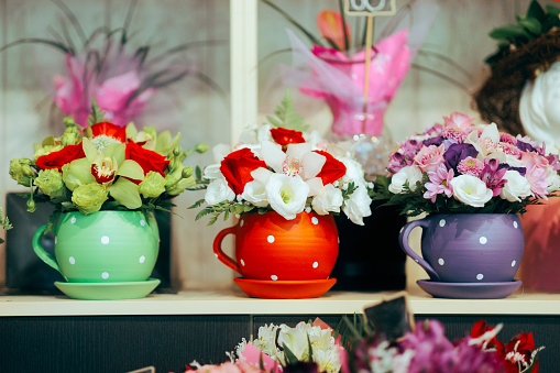 Image in a boutique of clay pots with floral arrangements