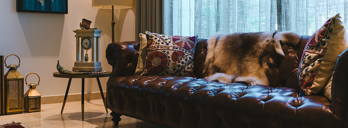 Medium format composition image showcasing the opulence and comfort of a luxurious, cozy living room