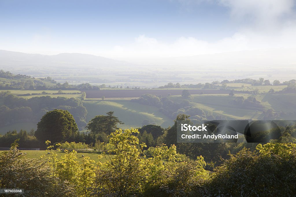 Worcestershire paisaje - Foto de stock de Bosque libre de derechos