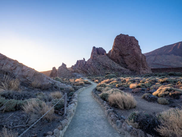 istock Landscape of Teide National Park 1874044139