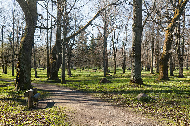 istock Avenue in park Kadriorg 187404518