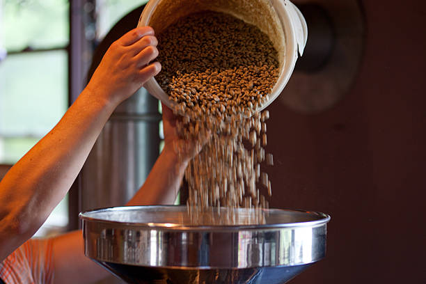 Coffee beans pouring into roaster - horizontal stock photo