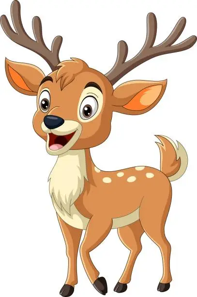 Vector illustration of Cartoon deer on white background