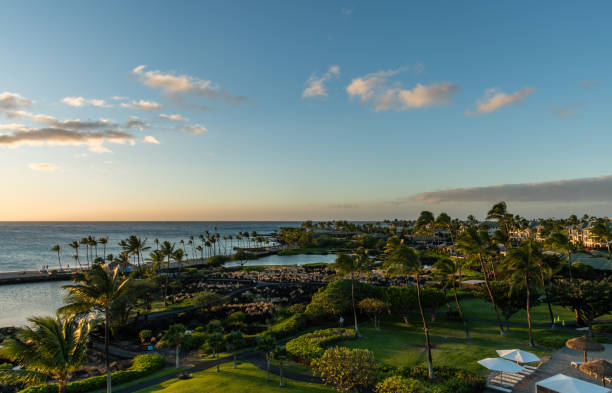 schöne aussicht auf den waikoloa beach bei sonnenuntergang, big island, hawaii - tree wind palm tree hawaii islands stock-fotos und bilder
