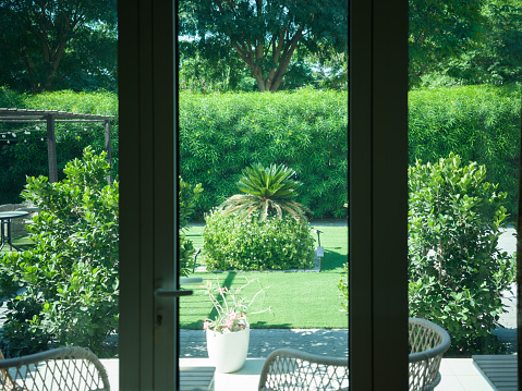 Medium format image of Tranquil Garden Patio shot through a window