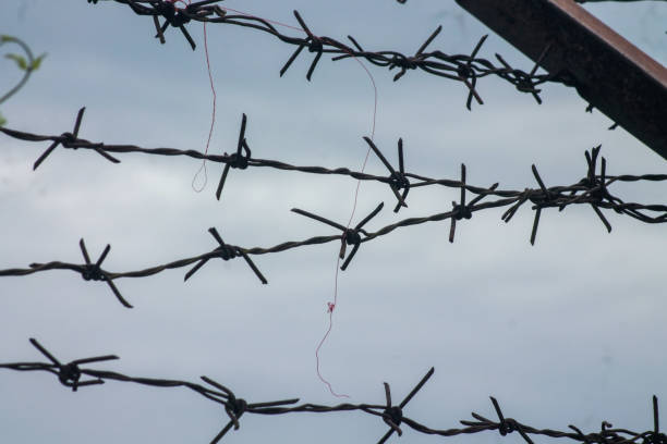 istock Barbed wire. Barbed wire on fence with blue sky 1874085933