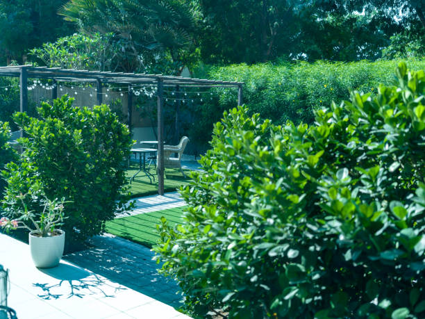 istock Tranquil Oasis - Green Garden Patio Serenity 1874089080