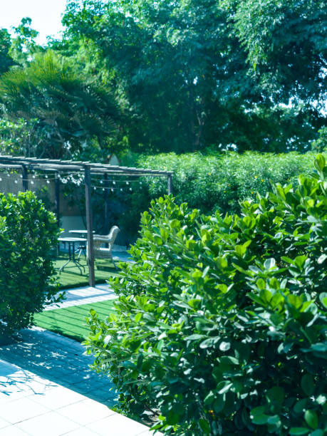 istock Tranquil Oasis - Green Garden Patio Serenity 1874089617
