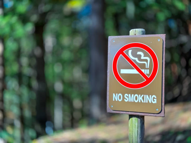 istock A No Smoking sign at a park 1874100496