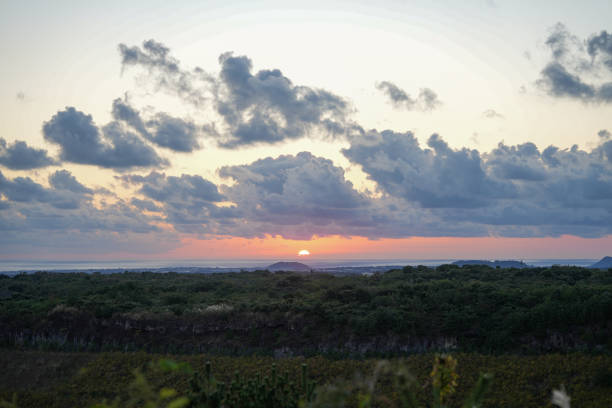 Sunset with Reed in Jeju
