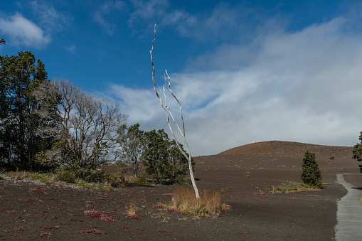 Scenic barren vista along the Devastation Trail at the Volcanoes National Park on the Big Island of Hawaii