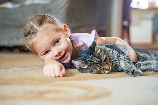 Portrait of cute little girl with gray cat lying on carpet in home living room. High quality photo