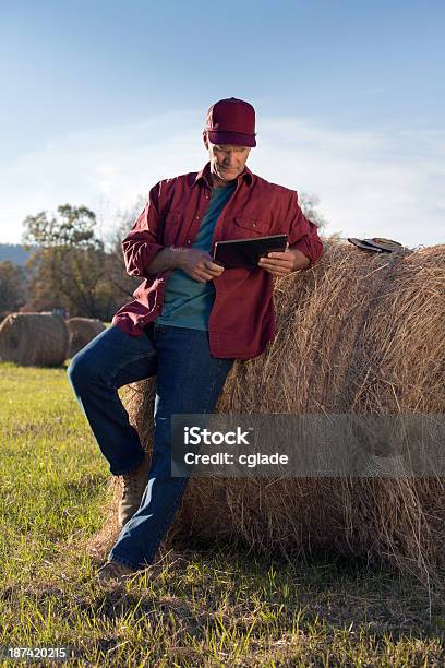 Agricultor Com Tecnologia Vertical - Fotografias de stock e mais imagens de 60-69 Anos - 60-69 Anos, Adulto, Adulto maduro
