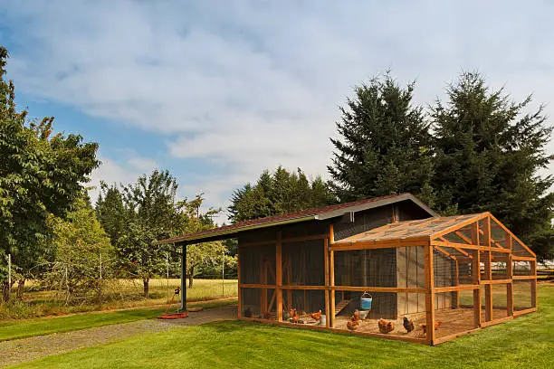 Large chicken coop on beautiful property.