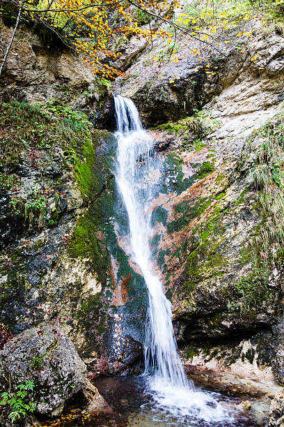 istock Stream in the Wood, Abruzzi, Italy 187422583