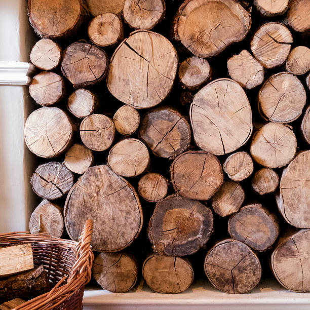 istock Pile of firewood 187422622