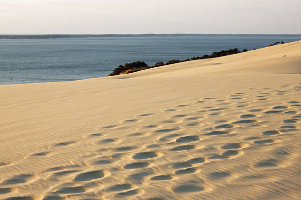 istock Dune of Pyla - Footprints in the sand 187422729