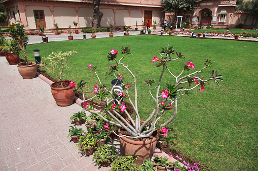 Karachi, Pakistan -21 Mar 2021: The garden of Mohatta Palace Museum in Karachi, Pakistan