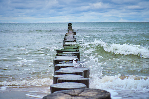 Groynes jut out into the Baltic Sea. Wooden trunks to protect the coast. Landscape from the sea