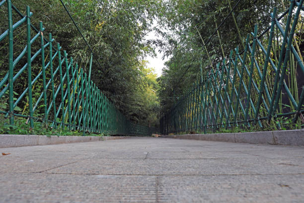istock Bamboo corridor architectural landscape in the park, Beijing 1874258998