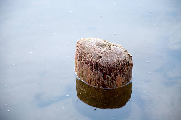 istock Breakwater in baltic sea 187428540