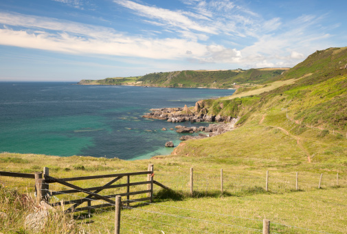 Devon coastline in summer