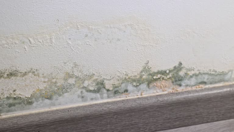 Mold growth on the walls inside an apartment building