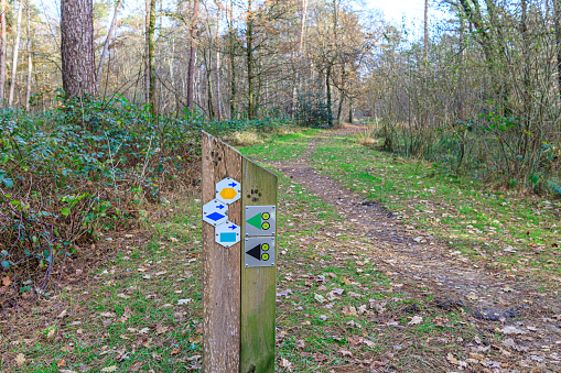 Wooden post with different hiking and mountain bike routes, path between green grass and bare trees in background, autumn day in Hoge Kempen national park, Lieteberg Zutendaal Limburg, Belgium