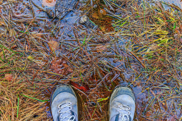 웅덩이에 진흙으로 더러워진 두 남자의 하이킹 부츠의 상단 각도 원근 - mud shoe boot wet 뉴스 사진 이미지