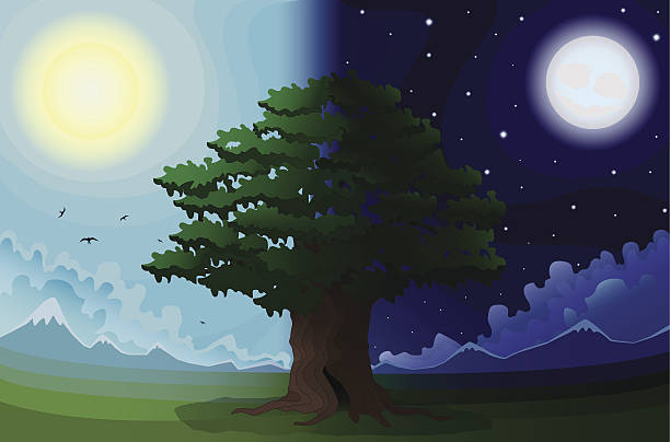 Day and night, sun and moon, light or dark  The tree in a field on a background of mountains in the daytime and at night landscape nature plant animal stock illustrations