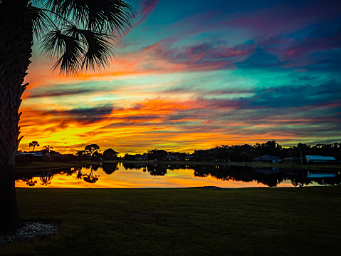 A beautiful sunset in Central Florida.  Houses are surrounding a calm lake in a single-home subdivision. The lake is reflecting the sunset colors. The grass is manicured.  A California Fan Palm (Washingtonia filifera) is on the far left of the image.