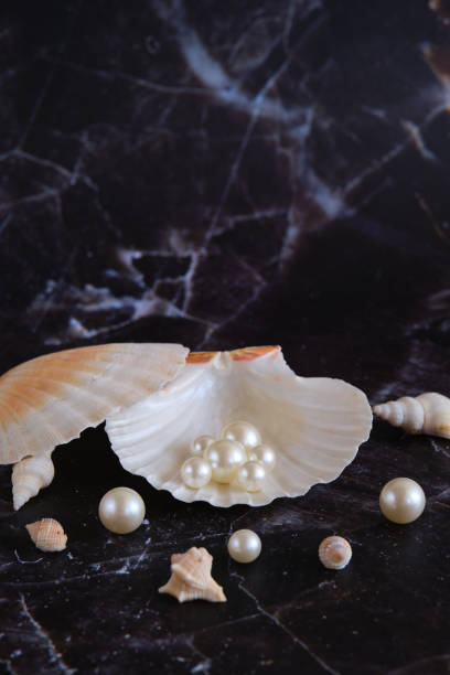 istock a few pearls in a sea shell 1874403335