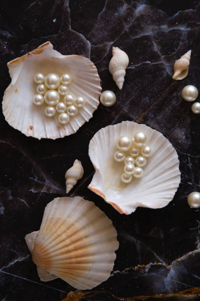 istock a few pearls in a sea shell 1874403357