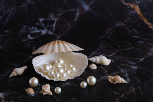 istock a few pearls in a sea shell 1874403872