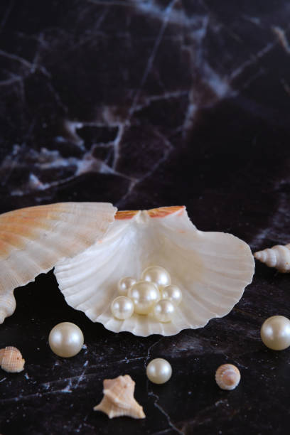 istock a few pearls in a sea shell 1874404388