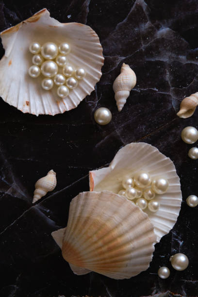 istock a few pearls in a sea shell 1874404399