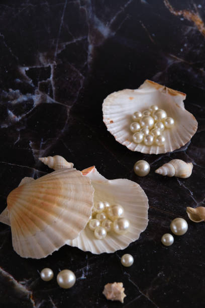 istock a few pearls in a sea shell 1874404903