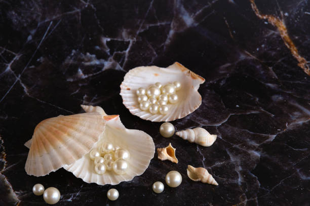 istock a few pearls in a sea shell 1874404906