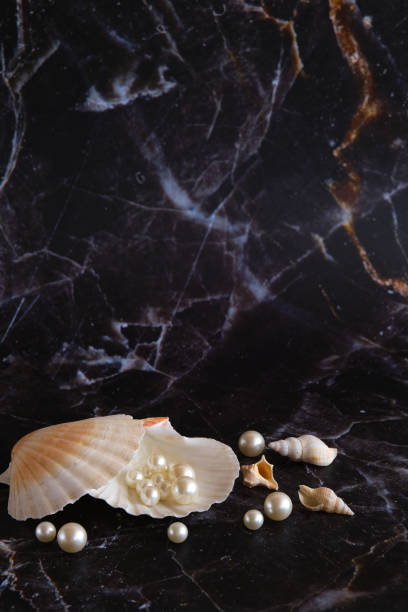 istock a few pearls in a sea shell 1874404909