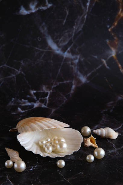 istock a few pearls in a sea shell 1874405422